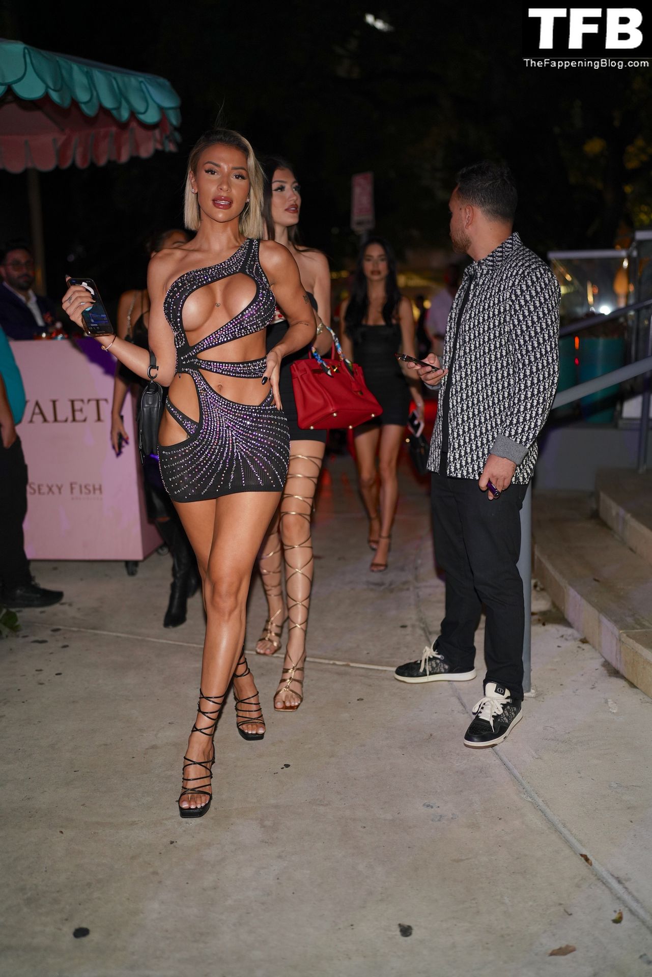 Emily Salch Sexy The Fappening Blog 3 - Emily Salch Shows Off Her Sexy Tits & Legs as She Attends Drake’s 36th Birthday Party (8 Photos)