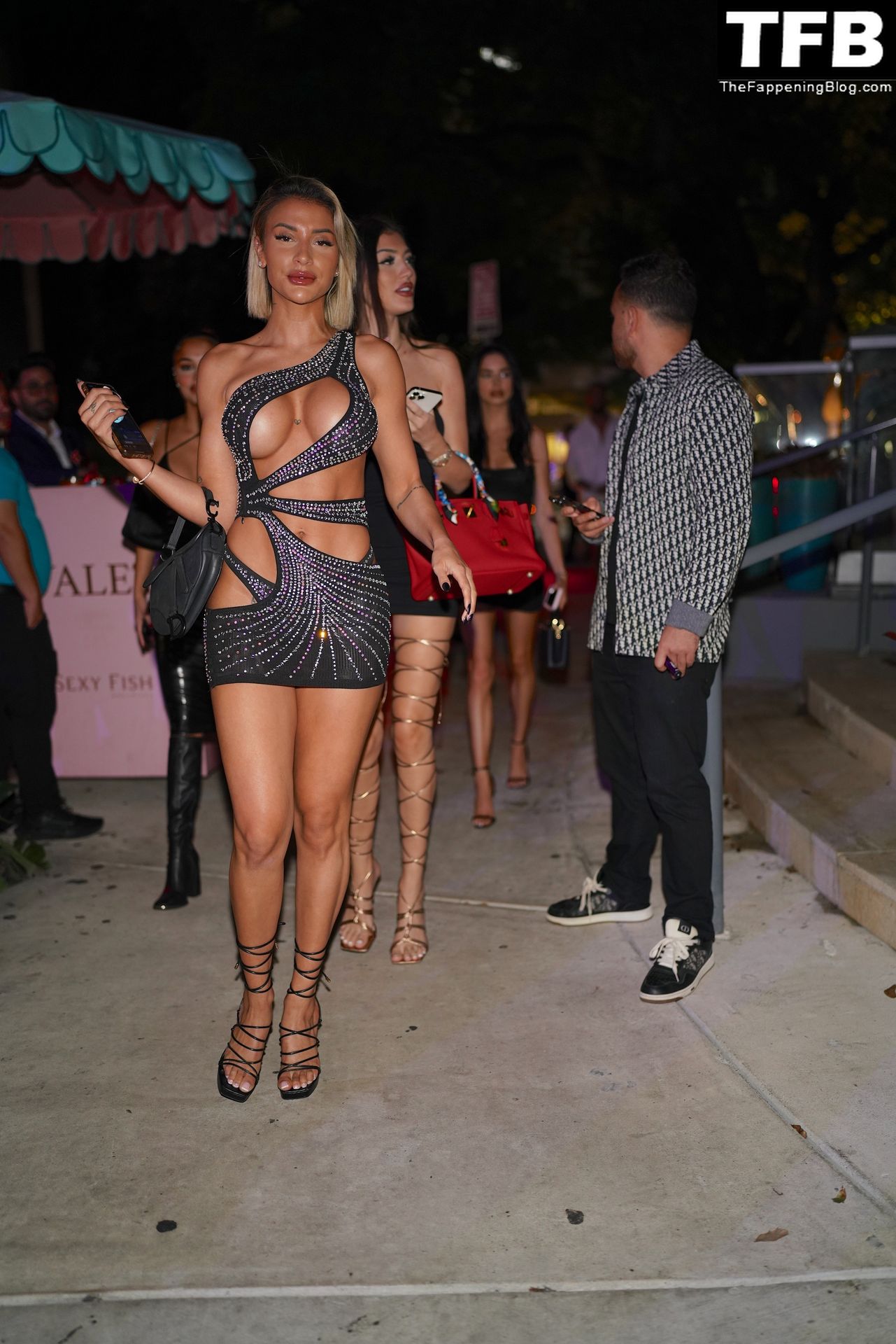 Emily Salch Sexy The Fappening Blog 4 - Emily Salch Shows Off Her Sexy Tits & Legs as She Attends Drake’s 36th Birthday Party (8 Photos)