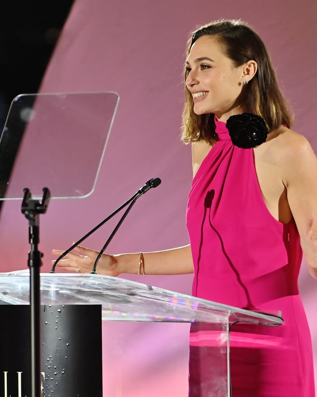 Gal Gadot Sexy At Women In Hollywood Celebration TheFappening.Pro 15 - Gal Gadot Sexy In Pink (18 Photos)