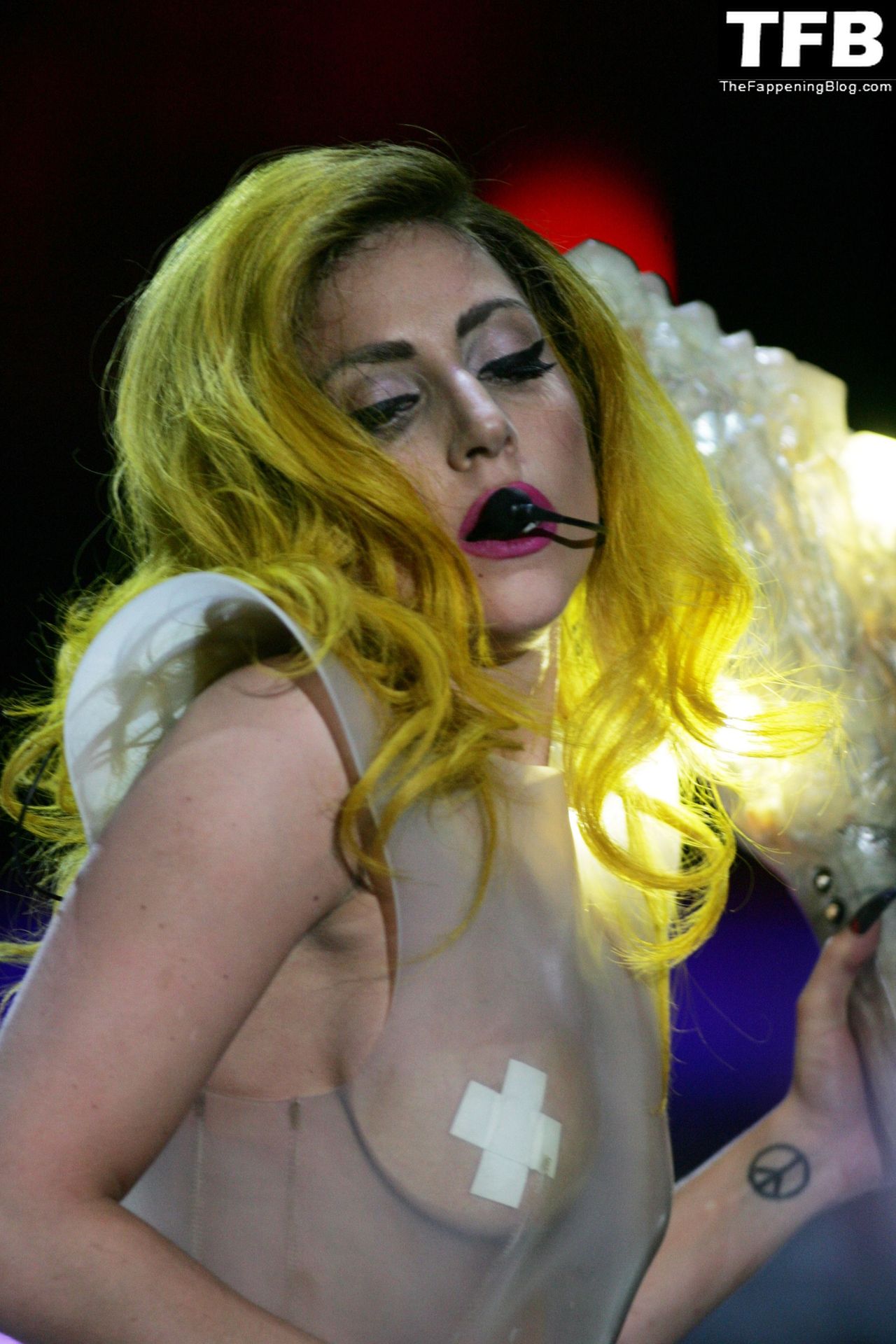 lady gaga 109 thefappeningblog.com  - Lady Gaga Nude & Sexy Collection – Part 2 (150 Photos)