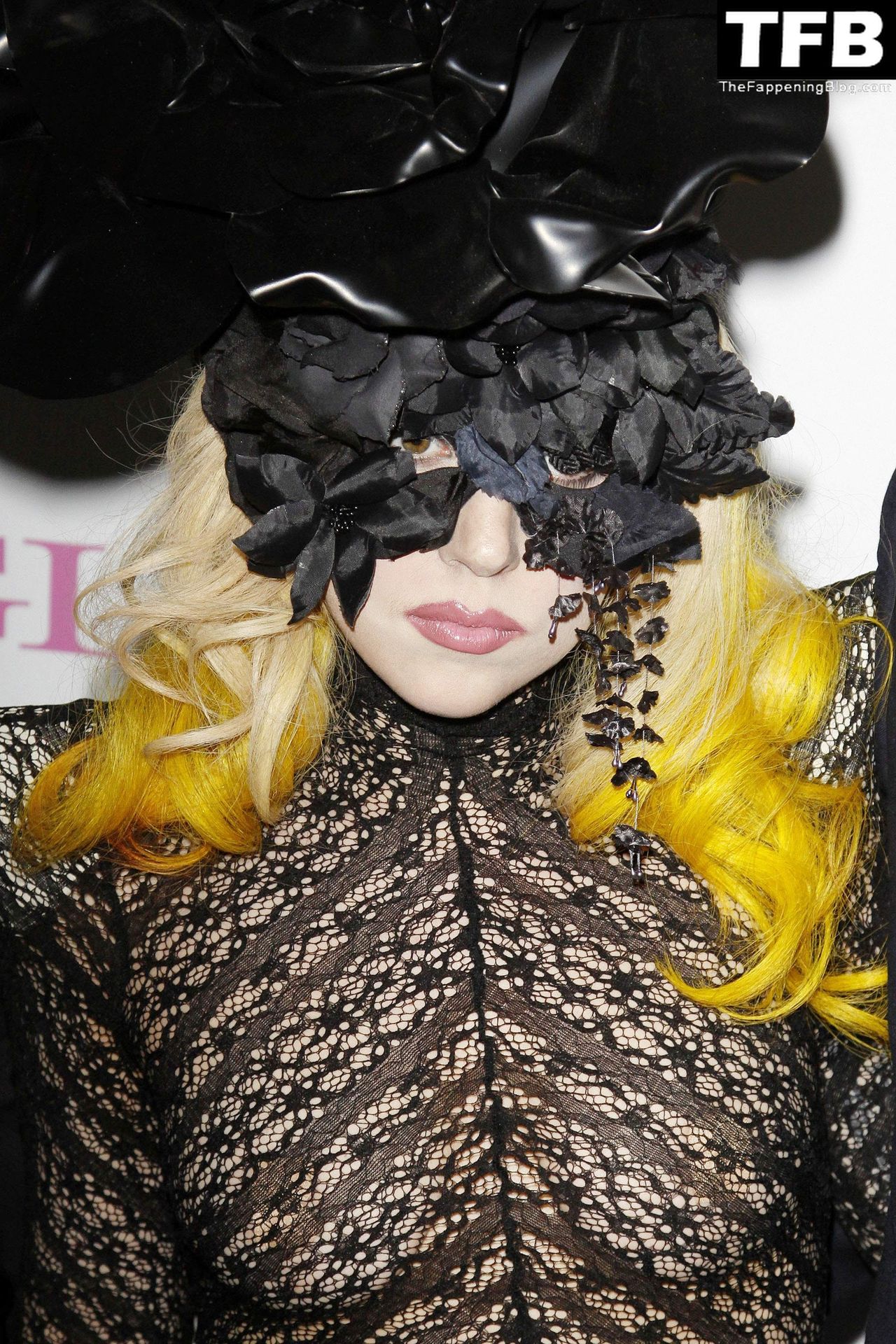 lady gaga 72 thefappeningblog.com  - Lady Gaga Nude & Sexy Collection – Part 2 (150 Photos)