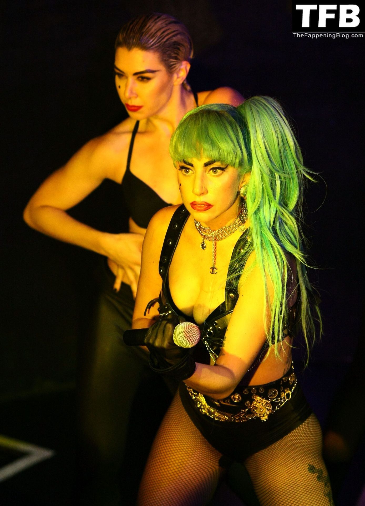 lady gaga 91 thefappeningblog.com  - Lady Gaga Nude & Sexy Collection – Part 2 (150 Photos)