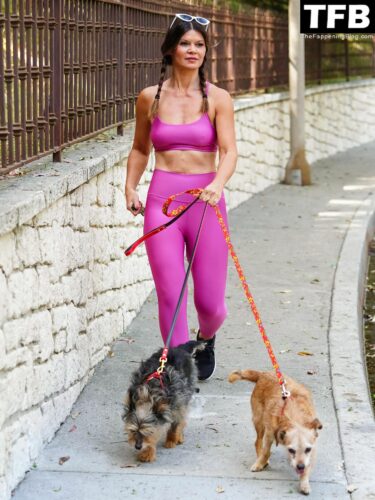 Danielle Vasinova Sexy The Fappening Blog 1 375x500 - Danielle Vasinova Flaunts Her Fit Figure While Walking Her Dogs in LA (13 Photos)