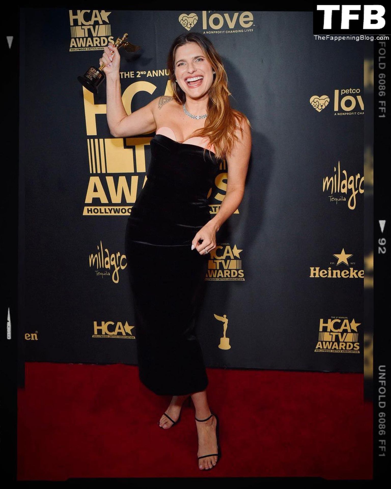 Lake Bell Sexy The Fappening Blog 9 - Lake Bell Poses at the 2nd Annual HCA TV Awards in Beverly Hills (10 Photos)