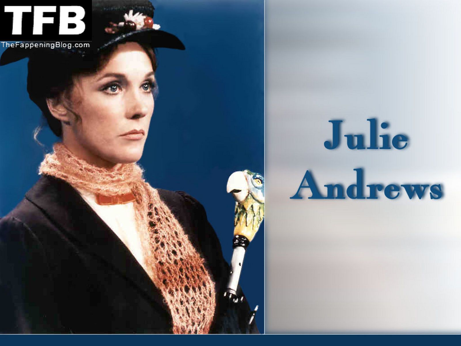 julie andrews wallpaper 495025 thefappeningblog.com  - Julie Andrews Nude & Sexy Collection (14 Photos)