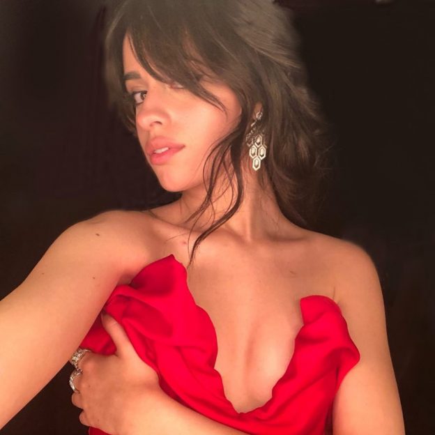 Camila Cabello near Nude Fappening 45 624x624 - Camila Cabello Sexy On A Swing (24 Photos)