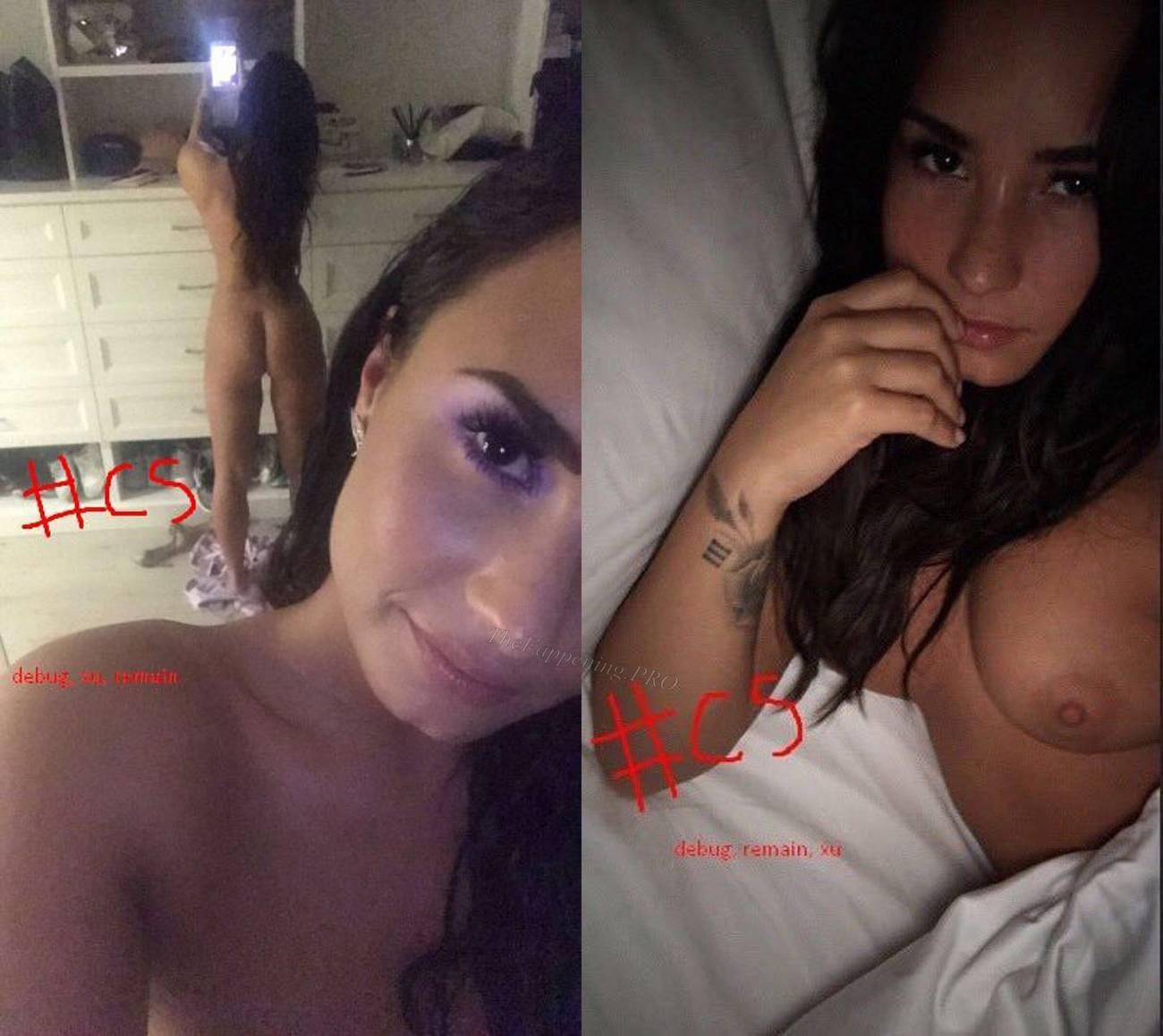 Demi Lovato TheFappening.Pro 2 - Demi Lovato Nude Leaked (30 Photos + Video)
