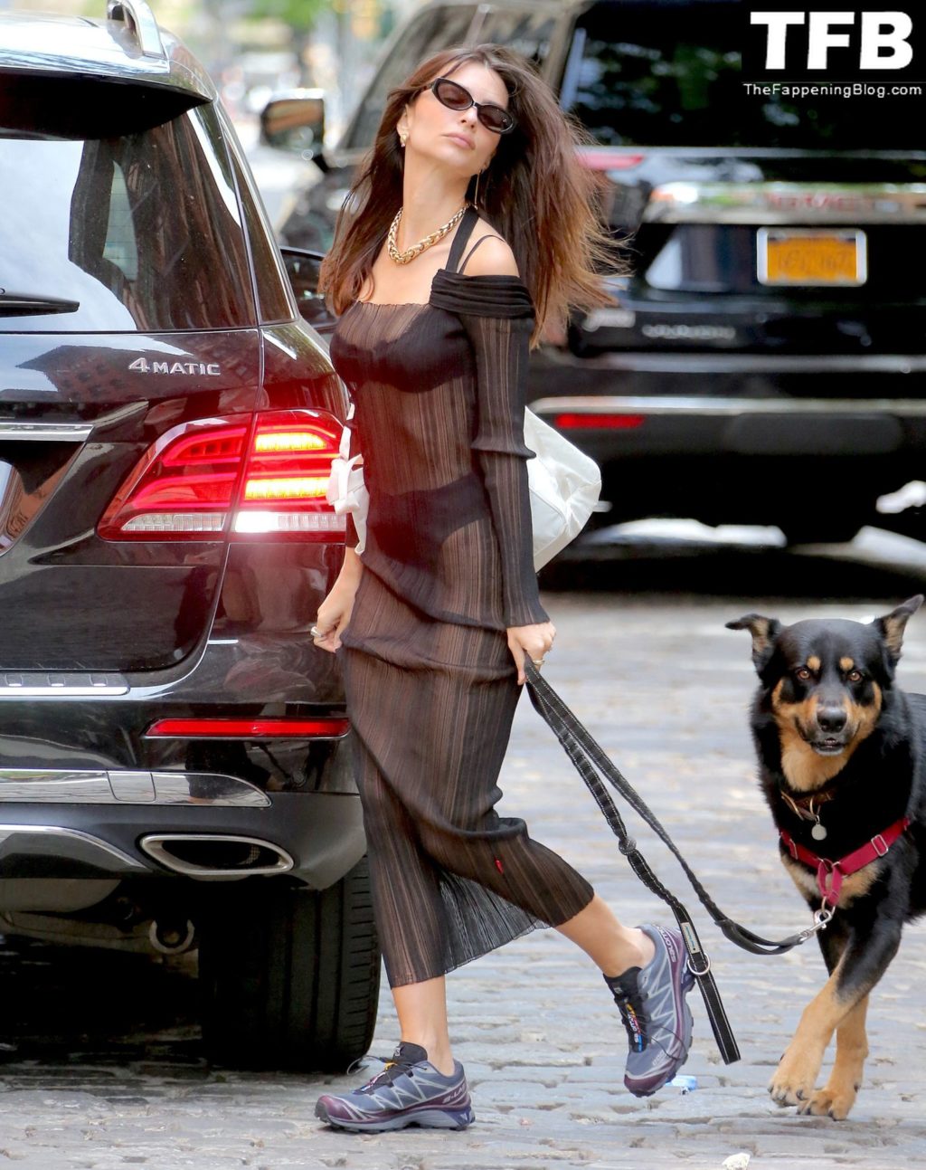 Emily Ratajkowski Sexy The Fappening Blog 19 1 1024x1293 - Emily Ratajkowski Bares It All in a See-Through Dress While Out Walking Her Dog in New York (33 Photos)