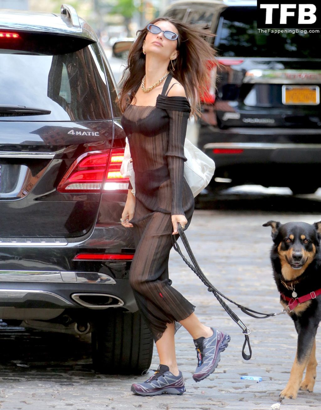Emily Ratajkowski Sexy The Fappening Blog 24 1 1024x1306 - Emily Ratajkowski Bares It All in a See-Through Dress While Out Walking Her Dog in New York (33 Photos)