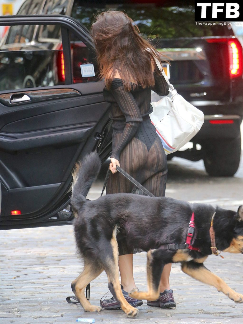 Emily Ratajkowski Sexy The Fappening Blog 28 1 1024x1367 - Emily Ratajkowski Bares It All in a See-Through Dress While Out Walking Her Dog in New York (33 Photos)