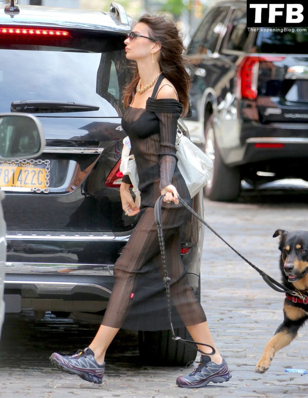Emily Ratajkowski Sexy The Fappening Blog 29 1 1024x1322 - Emily Ratajkowski Bares It All in a See-Through Dress While Out Walking Her Dog in New York (33 Photos)