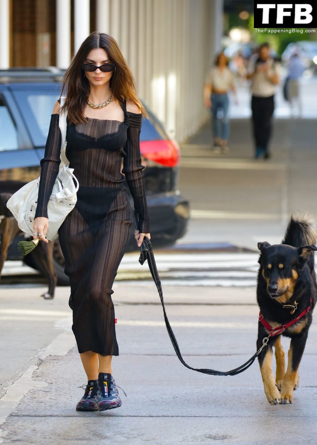 Emily Ratajkowski Sexy The Fappening Blog 8 2 1024x1434 - Emily Ratajkowski Bares It All in a See-Through Dress While Out Walking Her Dog in New York (33 Photos)