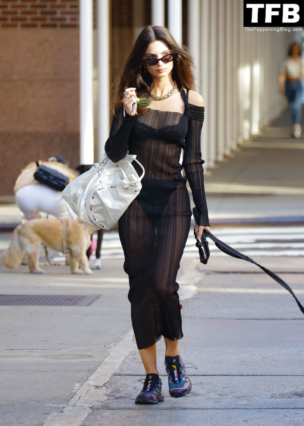 Emily Ratajkowski Sexy The Fappening Blog 9 2 1024x1434 - Emily Ratajkowski Bares It All in a See-Through Dress While Out Walking Her Dog in New York (33 Photos)