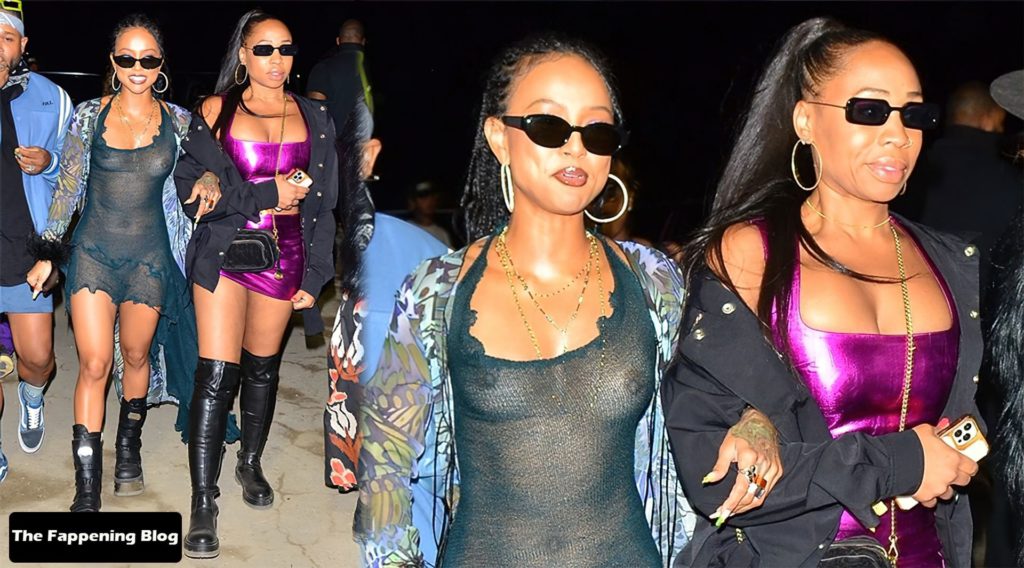 Karrueche Tran Sexy Boobs and Nipples 1 thefappeningblog.com  1024x568 - Karrueche Tran Goes Almost Nude in a See-Through Outfit (56 Photos)
