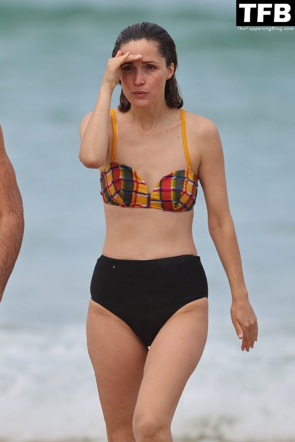 Rose Byrne Sexy The Fappening Blog 71 1024x1536 - Rose Byrne & Kick Gurry Enjoy a Day on the Beach in Sydney (90 Photos)