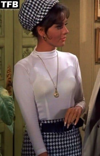 dawn wells see trough 35013 thefappeningblog.com  - Dawn Wells Sexy Collection (12 Photos)