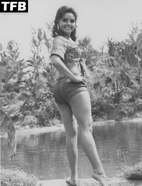 dawn wells sexy 19073 thefappeningblog.com  - Dawn Wells Sexy Collection (12 Photos)