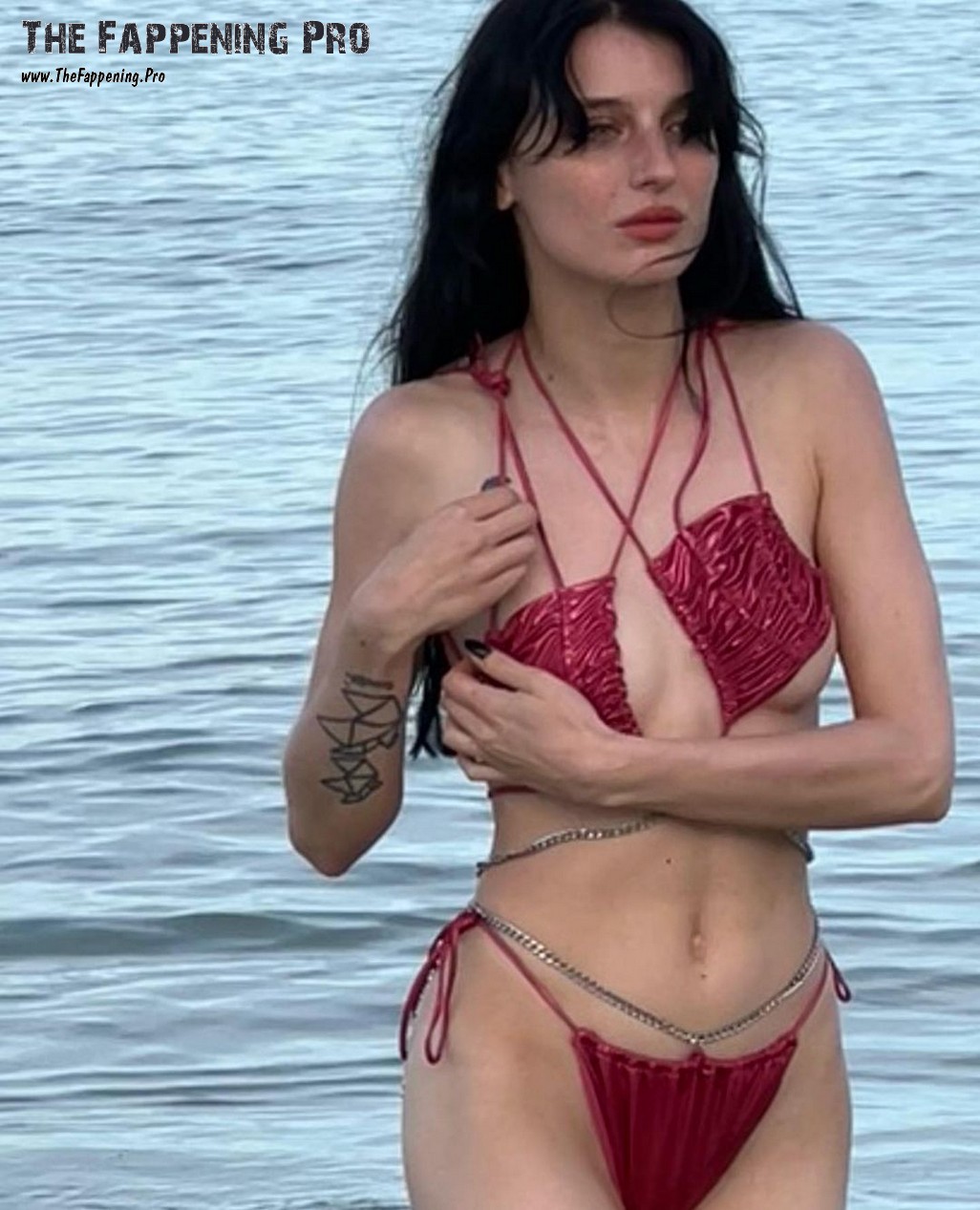 Alice Pagani Bikini TheFappening.Pro 29 - Alice Pagani Nude Italian Actress (Over 200 Leaked Photos)
