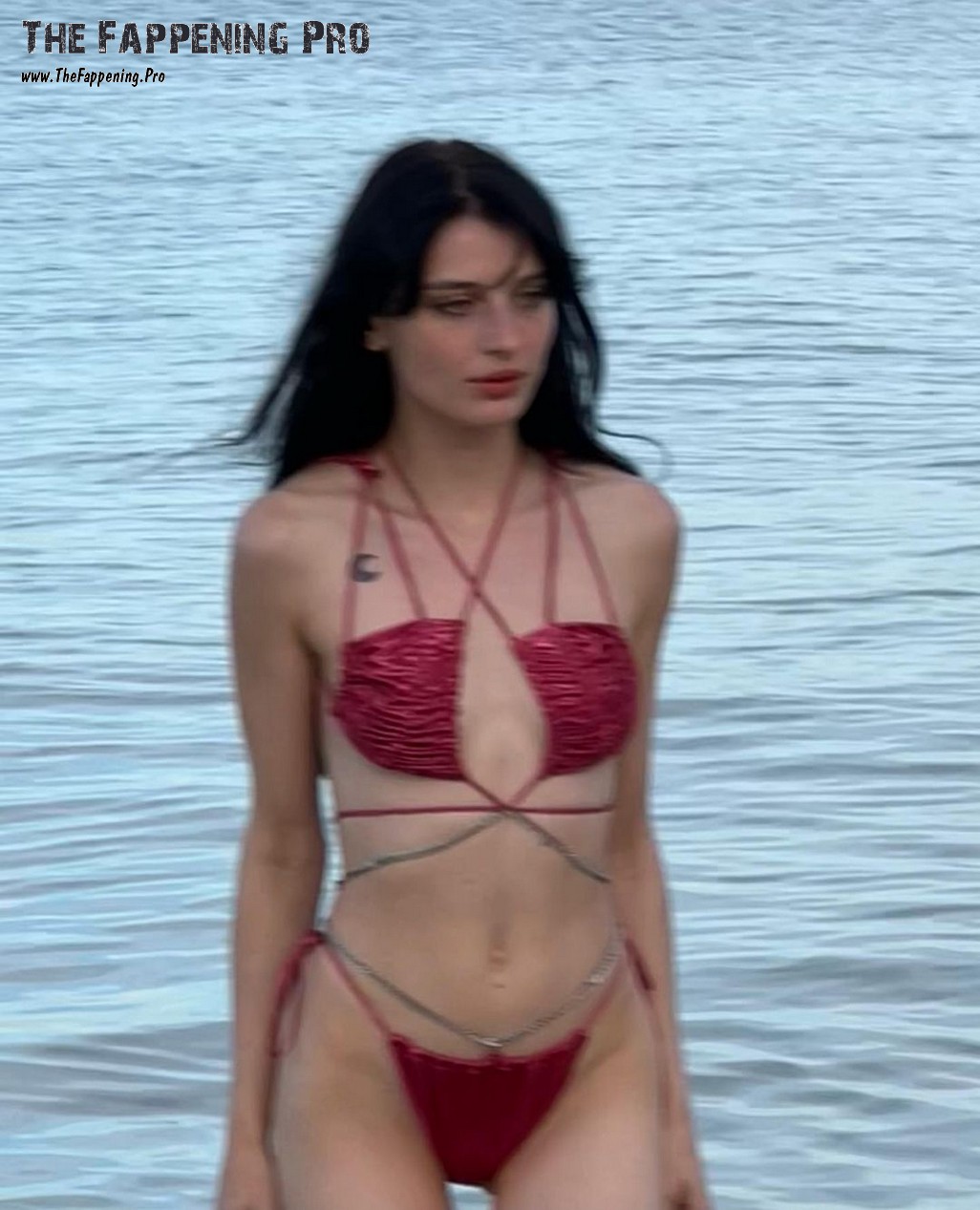 Alice Pagani Bikini TheFappening.Pro 31 - Alice Pagani Nude Italian Actress (Over 200 Leaked Photos)