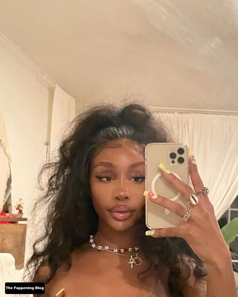 SZA Nude and Sexy Photo Collection The Fappening Blog 10 - SZA Sexy & Topless Collection (44 Photos)