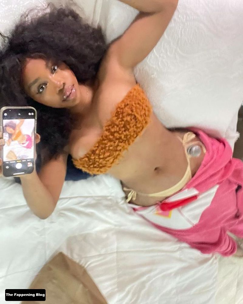SZA Nude and Sexy Photo Collection The Fappening Blog 11 - SZA Sexy & Topless Collection (44 Photos)