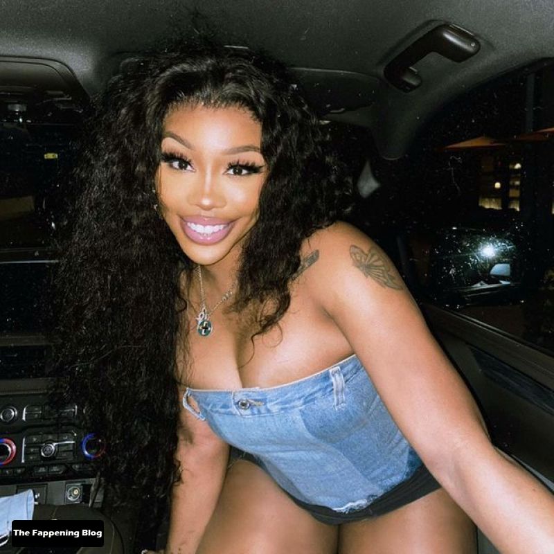 SZA Nude and Sexy Photo Collection The Fappening Blog 20 - SZA Sexy & Topless Collection (44 Photos)