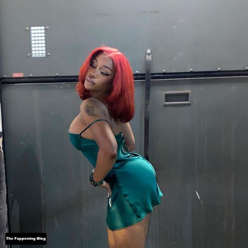 SZA Nude and Sexy Photo Collection The Fappening Blog 26 - SZA Sexy & Topless Collection (44 Photos)