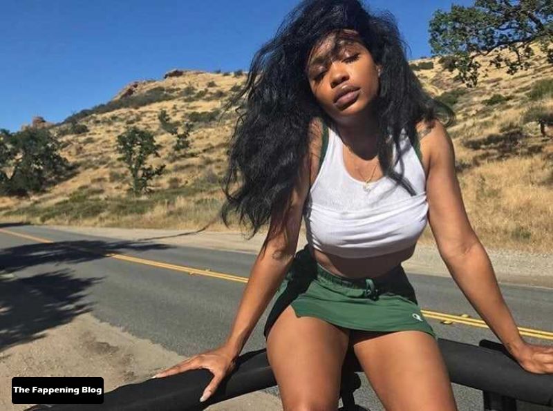 SZA Nude and Sexy Photo Collection The Fappening Blog 28 - SZA Sexy & Topless Collection (44 Photos)