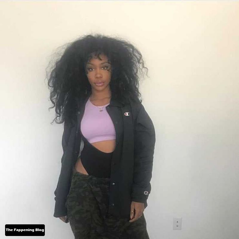SZA Nude and Sexy Photo Collection The Fappening Blog 32 - SZA Sexy & Topless Collection (44 Photos)