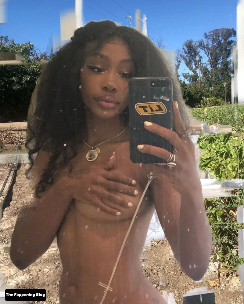 SZA Nude and Sexy Photo Collection The Fappening Blog 33 - SZA Sexy & Topless Collection (44 Photos)