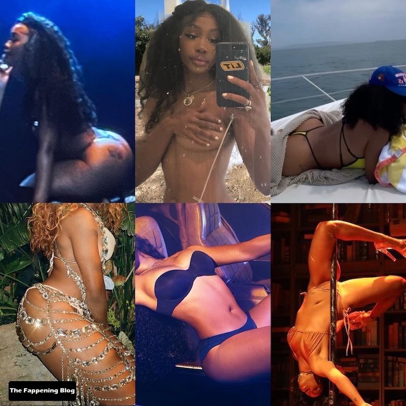 SZA Nude and Sexy Photo Collection The Fappening Blog 36 - SZA Sexy & Topless Collection (44 Photos)