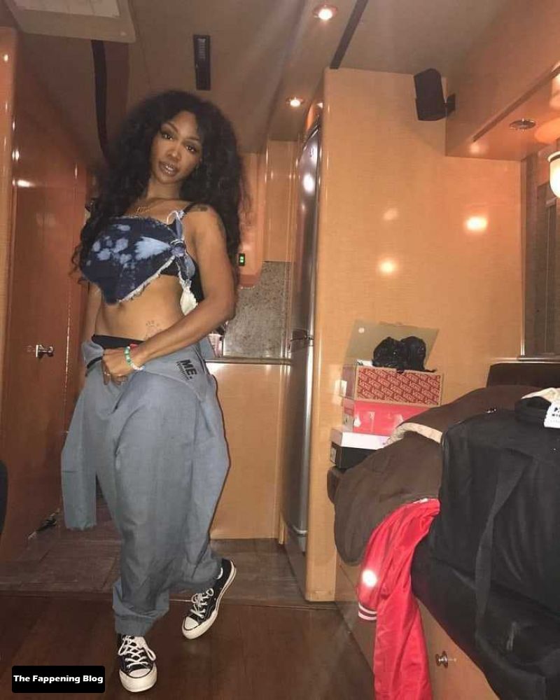 SZA Nude and Sexy Photo Collection The Fappening Blog 39 - SZA Sexy & Topless Collection (44 Photos)