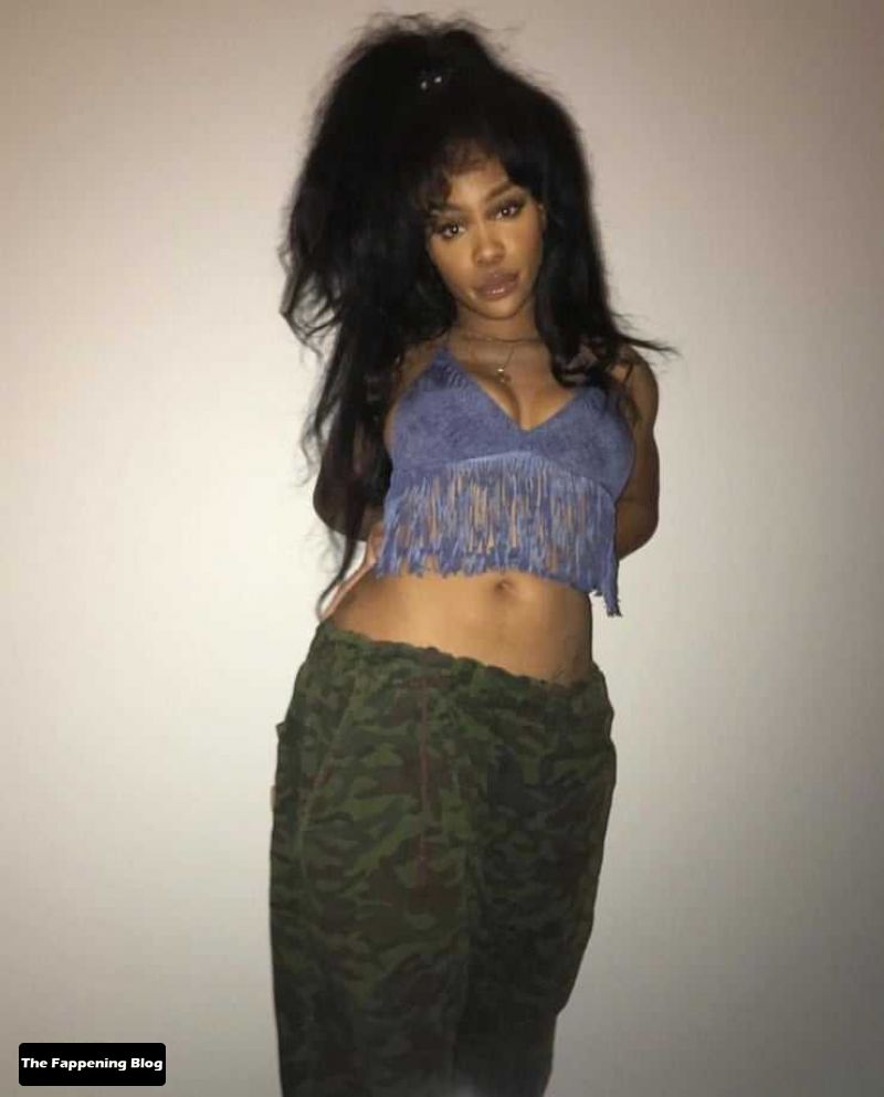 SZA Nude and Sexy Photo Collection The Fappening Blog 40 - SZA Sexy & Topless Collection (44 Photos)
