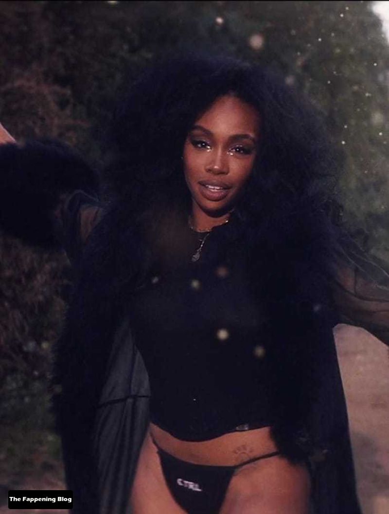 SZA Nude and Sexy Photo Collection The Fappening Blog 5 - SZA Sexy & Topless Collection (44 Photos)