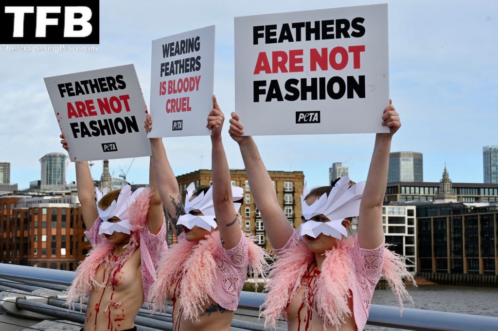 Topless Girls PETA The Fappening Blog 13 1024x681 - PETA Topless Protest at Use of Feathers in the Fashion Industry (32 Photos)