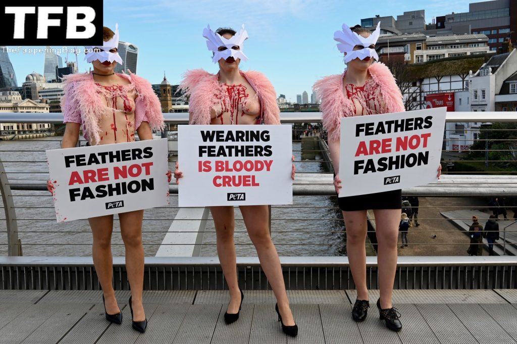 Topless Girls PETA The Fappening Blog 24 1024x681 - PETA Topless Protest at Use of Feathers in the Fashion Industry (32 Photos)