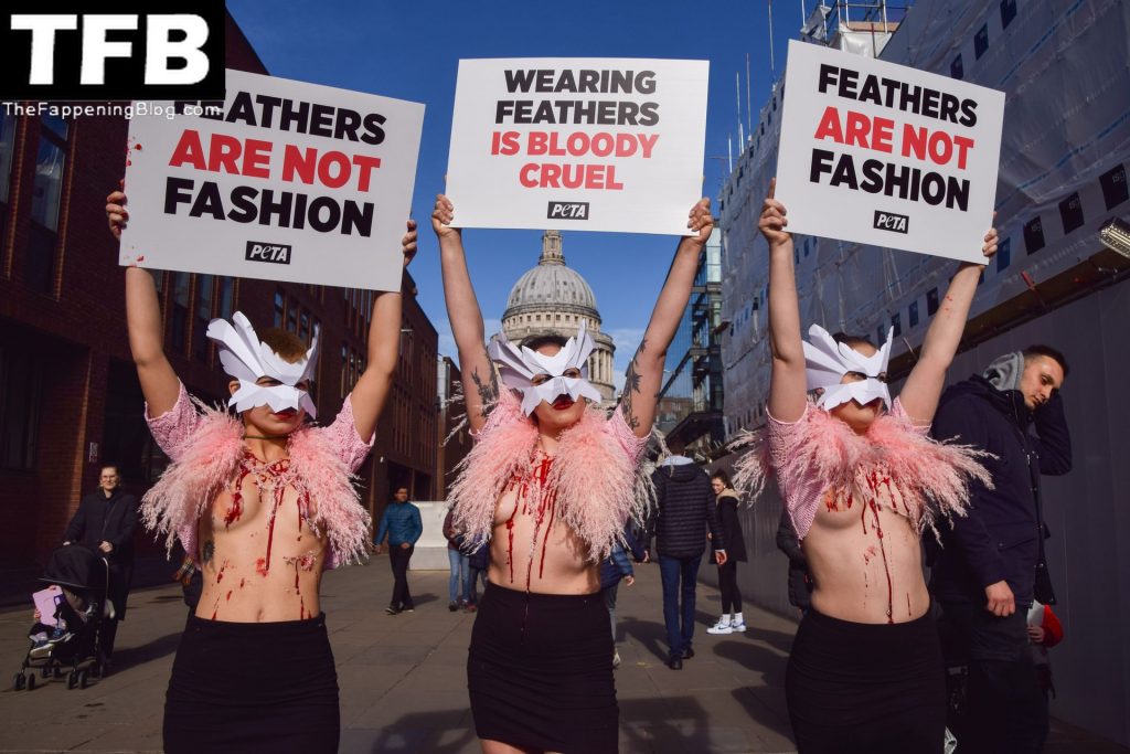 Topless Girls PETA The Fappening Blog 25 1024x683 - PETA Topless Protest at Use of Feathers in the Fashion Industry (32 Photos)
