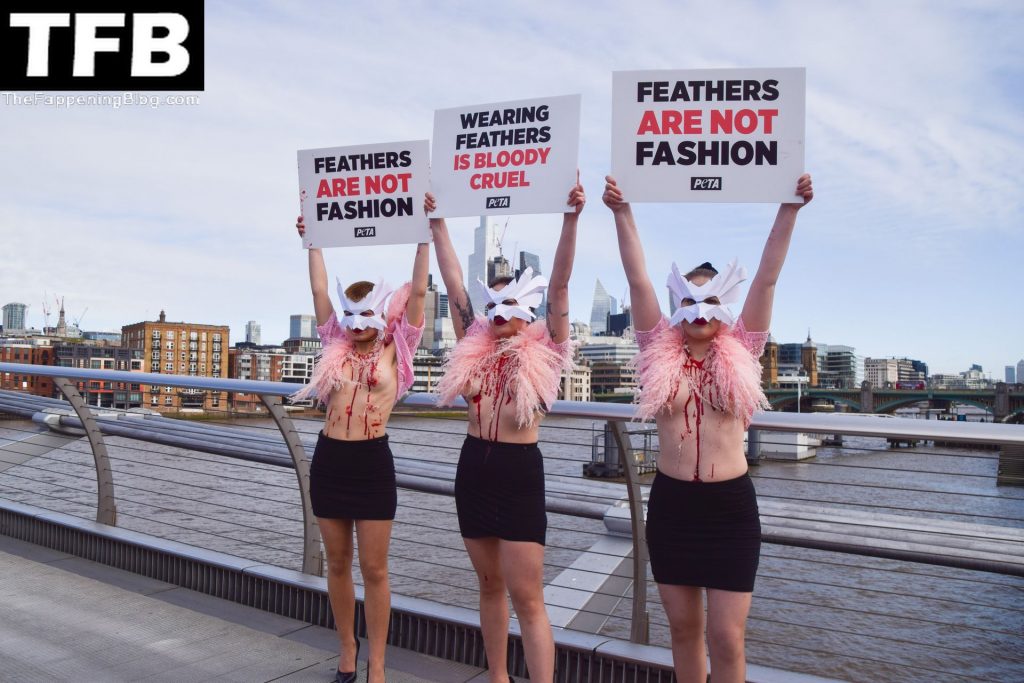 Topless Girls PETA The Fappening Blog 27 1024x683 - PETA Topless Protest at Use of Feathers in the Fashion Industry (32 Photos)