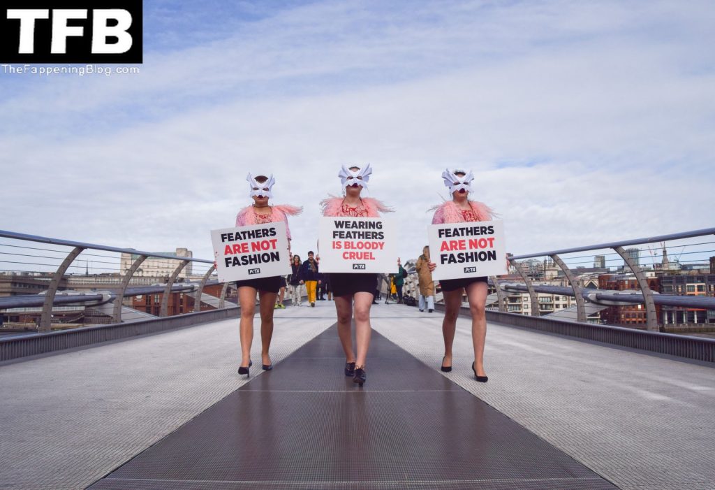 Topless Girls PETA The Fappening Blog 28 1024x701 - PETA Topless Protest at Use of Feathers in the Fashion Industry (32 Photos)