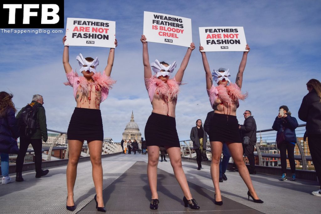 Topless Girls PETA The Fappening Blog 29 1024x683 - PETA Topless Protest at Use of Feathers in the Fashion Industry (32 Photos)